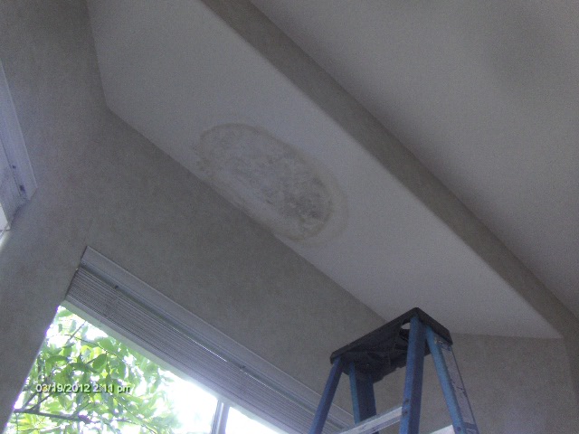 Wet Ceiling Drying Water Damage Leak Walls How